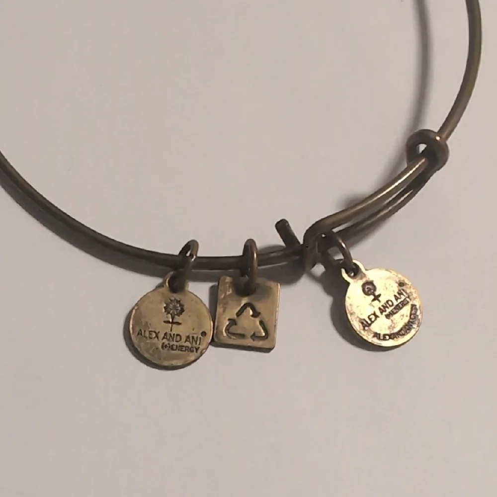 Alex and Ani Gold Expandable Charm Bracelet Made With 🩵 Charm‎ Healing Bracelet